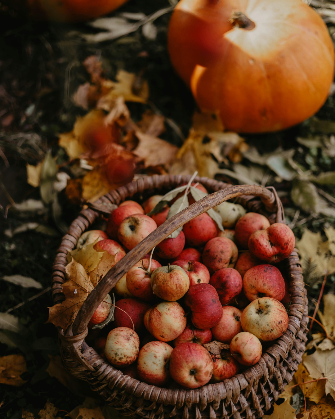 Pumpkin and Apple Weekend