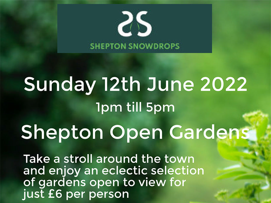 Shepton Open Gardens
