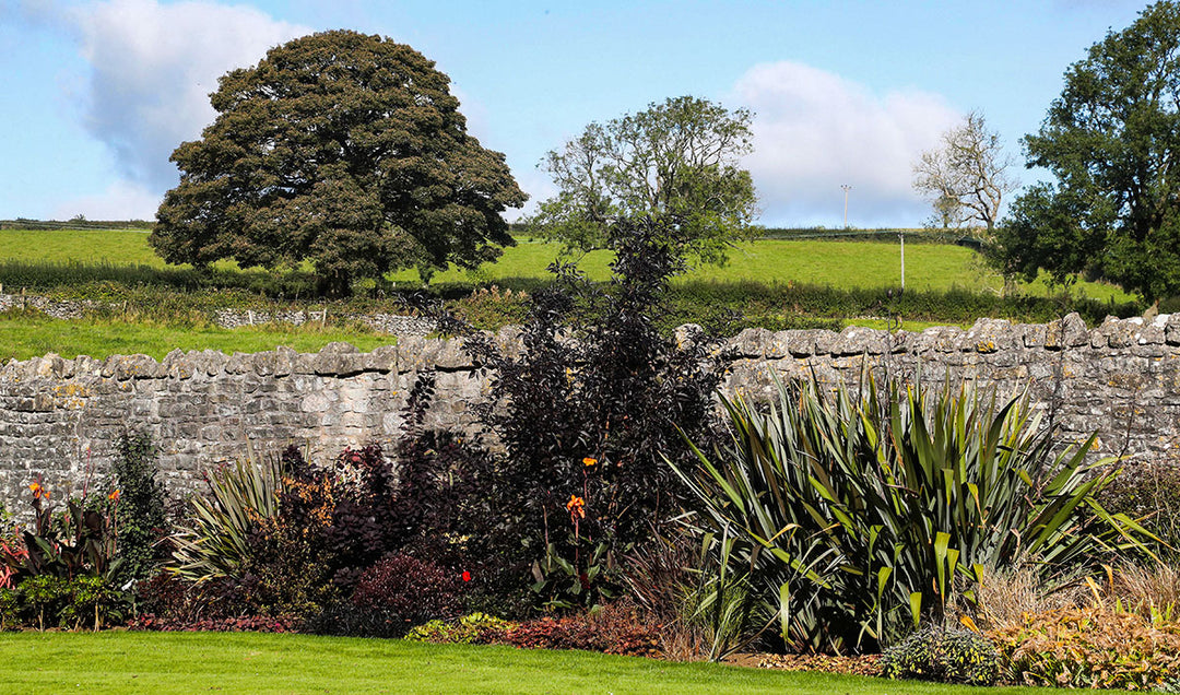 100 Metre Herbaceous Border