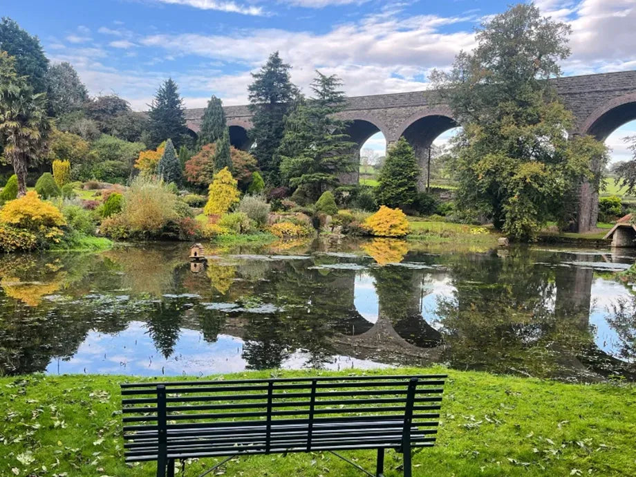 Autumn update from our Head Gardener – Kilver Court