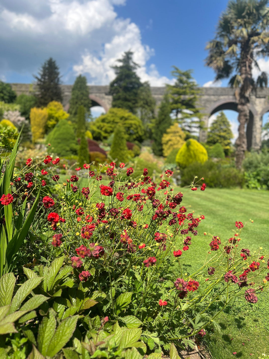 Open Garden Events this June