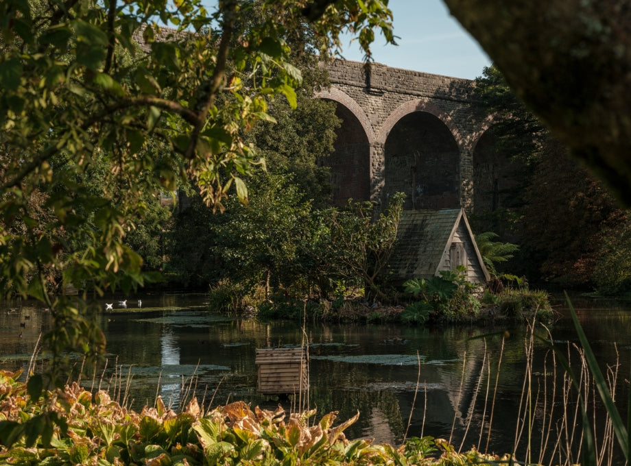 An autumnal scene of Kilver Court's lake