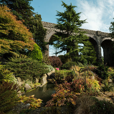 The Gardener's Diary: Autumn Colour and Winter Preparation