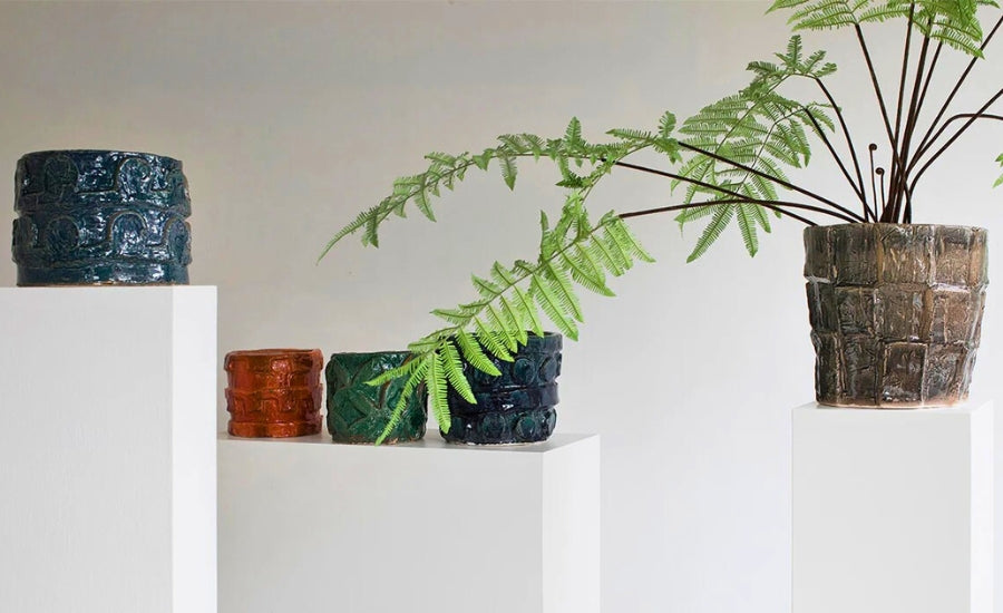 A mix of different coloured pots with a plan in, sat against a white neutral background