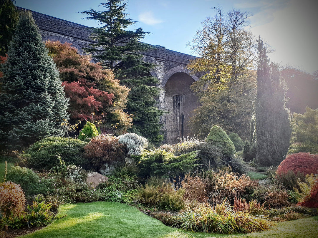 The Gardener's Diary