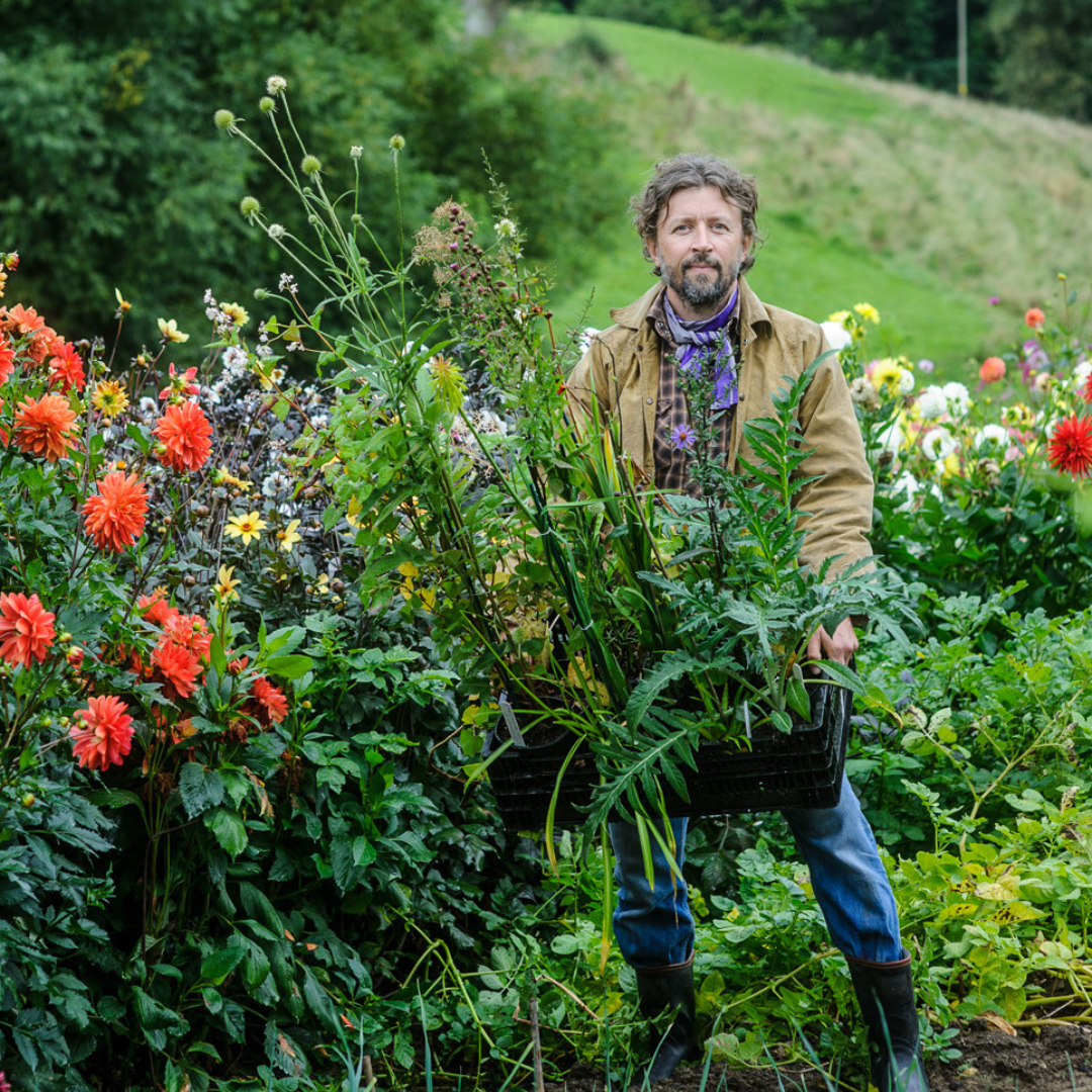 Shepton Snowdrops Festival: In Conversation with Dan Pearson