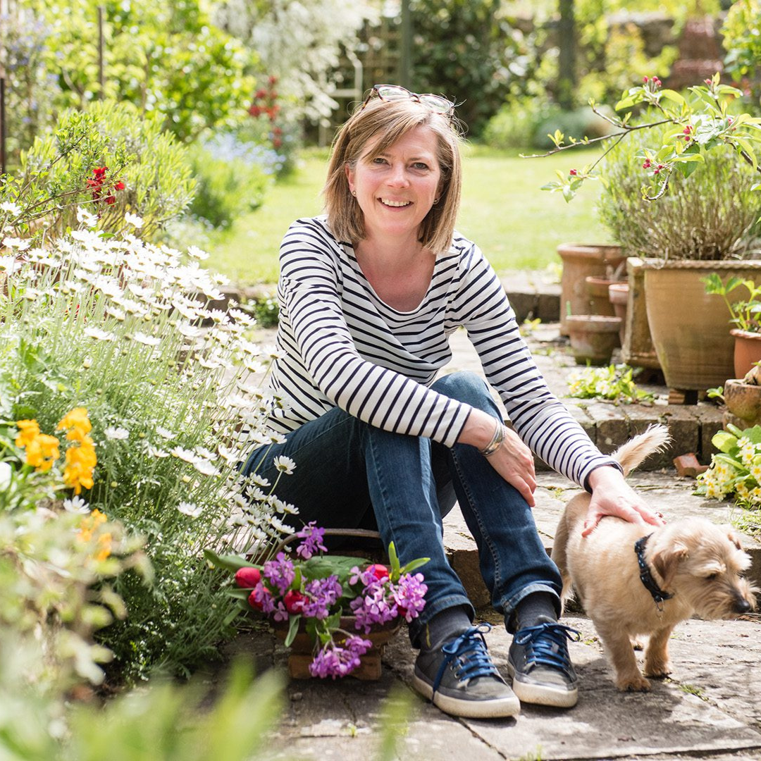 Shepton Snowdrops Festival: Great Snowdrop Gardens of Somerset