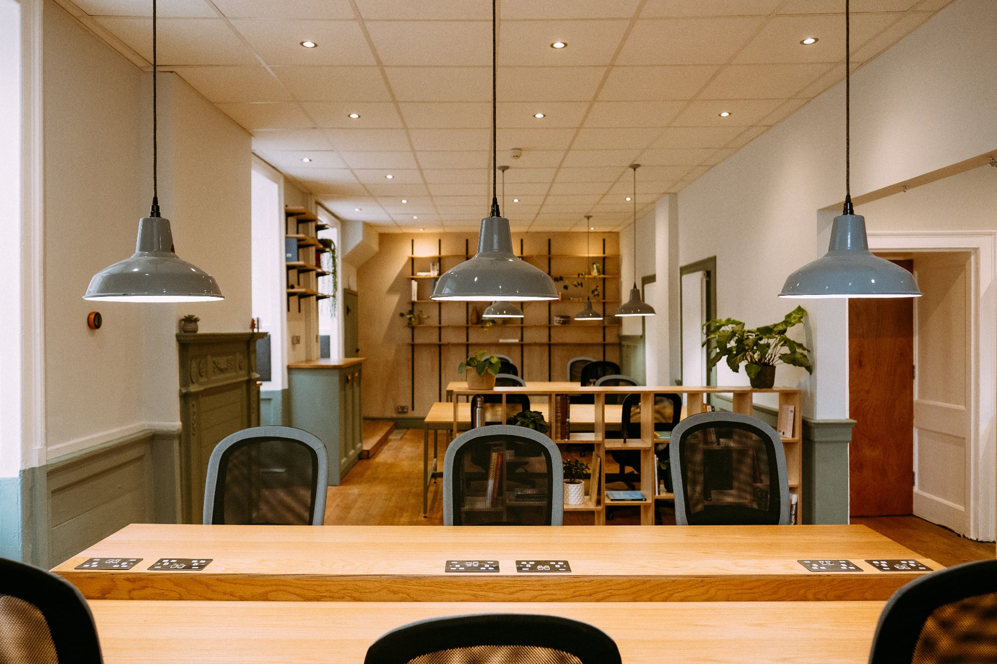 A large open-plan office with light wood desks, dark grey chairs and hanging lights, as well as lots of greenery. 
