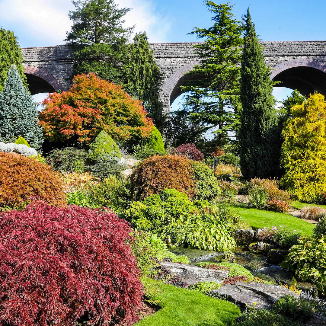 The Rockery At Kilver Court