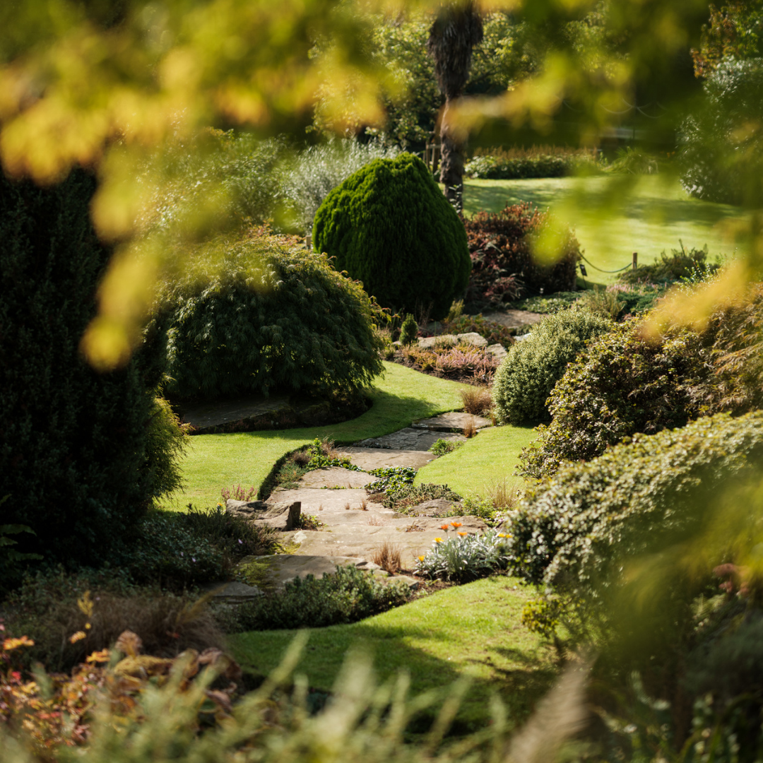NGS Garden Open Day